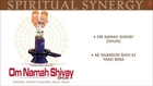 Om Namah Shivay Dhun, Shiv Bhajan By Hemant Chauhan, Jagjit Singh Full Audio Songs Juke Box