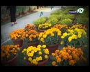 Living Life With Sajida Part 1  National Mashroom Festival Pakistan (Flower Show)