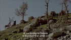 My Sweet Pepper Land, un film de Hiner Saleem (teaser)