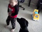 What it's really like to have a child and a dog