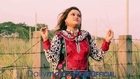 Hariye Tomay ft Sohel SK & Rulia Sultana - Bangla Song 2014