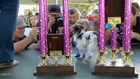 Meet Peanut, the world's ugliest dog