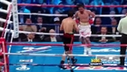 Manny Pacquiao vs Antonio Margarito- Highlights (HBO Boxing)