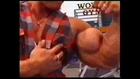 Bodybuilding DVDs Australia