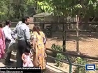 Dunya News Children delighted to see Zebra new born baby in Lahore Zoo  Video Dailymotion
