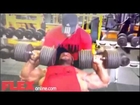Fitness And Bodybuilding Fitness   Roelly Winklaar Shoulders and Chest Workout 5 weeks out from the