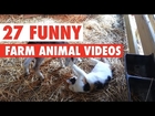 27 Funny Farm Animal Videos Compilation 2016
