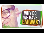Why do we Have Earwax?